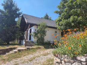 Chalet Saint-Michel-de-Chaillol, 4 pièces, 9 personnes - FR-1-393-74